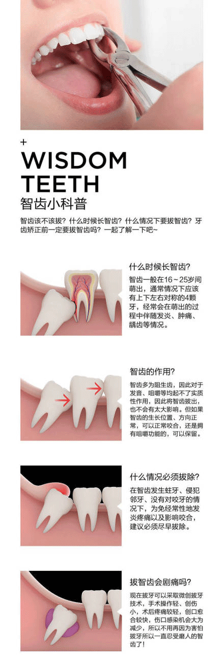 智齿